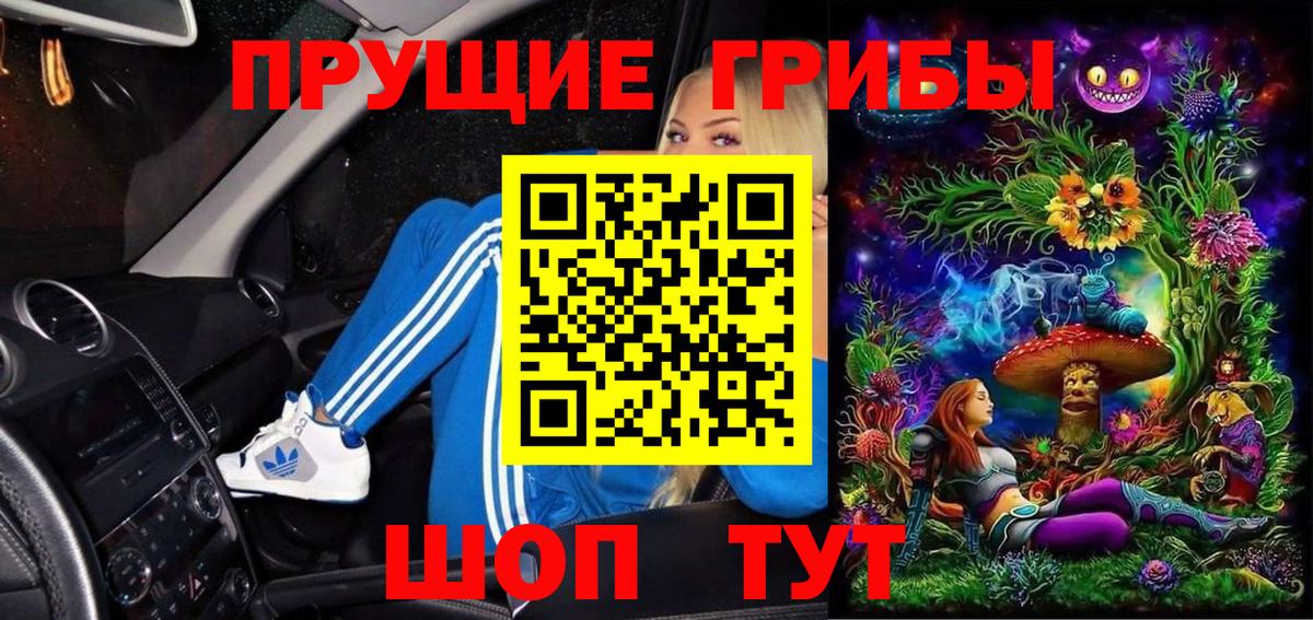 закладки  Вход с VPN  Ухта  Псилоцибиновые грибы мухоморы 