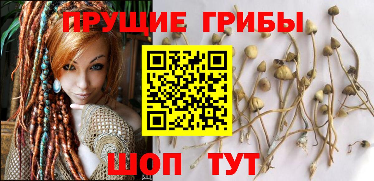 Псилоцибиновые грибы мухоморы Ухта